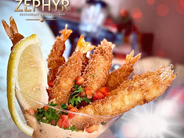 Zephyr FB_IMG_1769690109721 - Copy.jpg