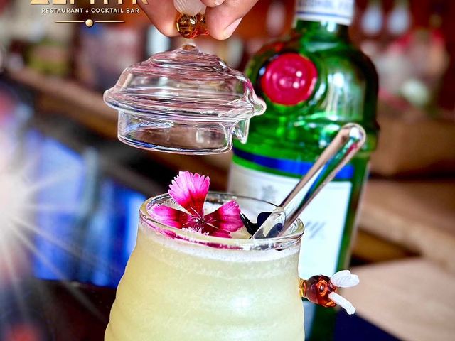 Zephyr FB_IMG_1769690122438.jpg