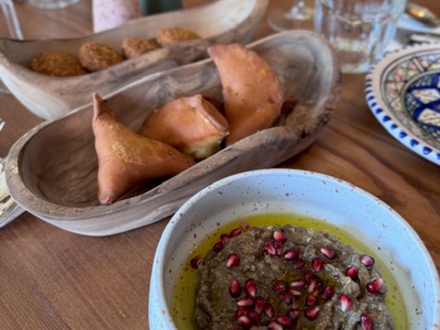 Zephyr IMG_5338.jpeg