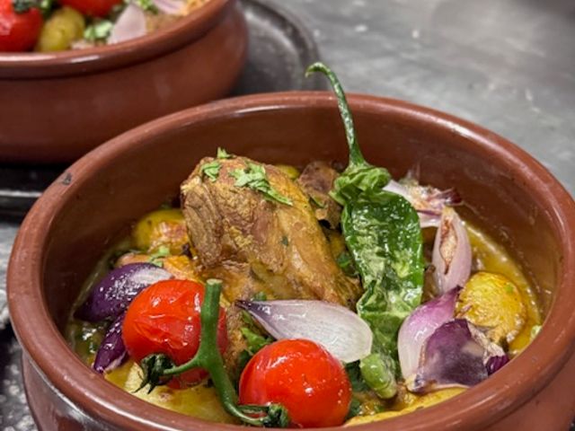 Zephyr IMG_9816.jpeg